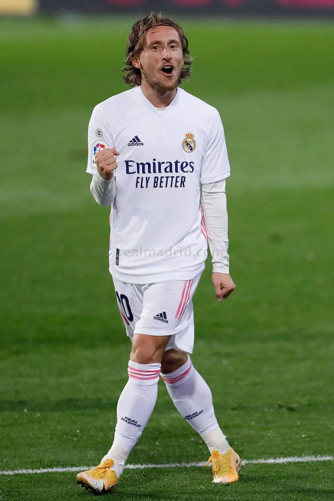 不仅体现了 不仅体现了